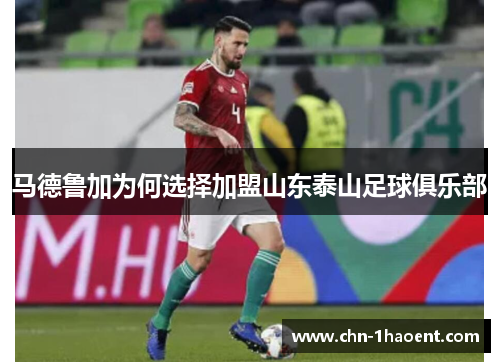 马德鲁加为何选择加盟山东泰山足球俱乐部 马德鲁加为何选择加盟山东泰山足球俱乐部